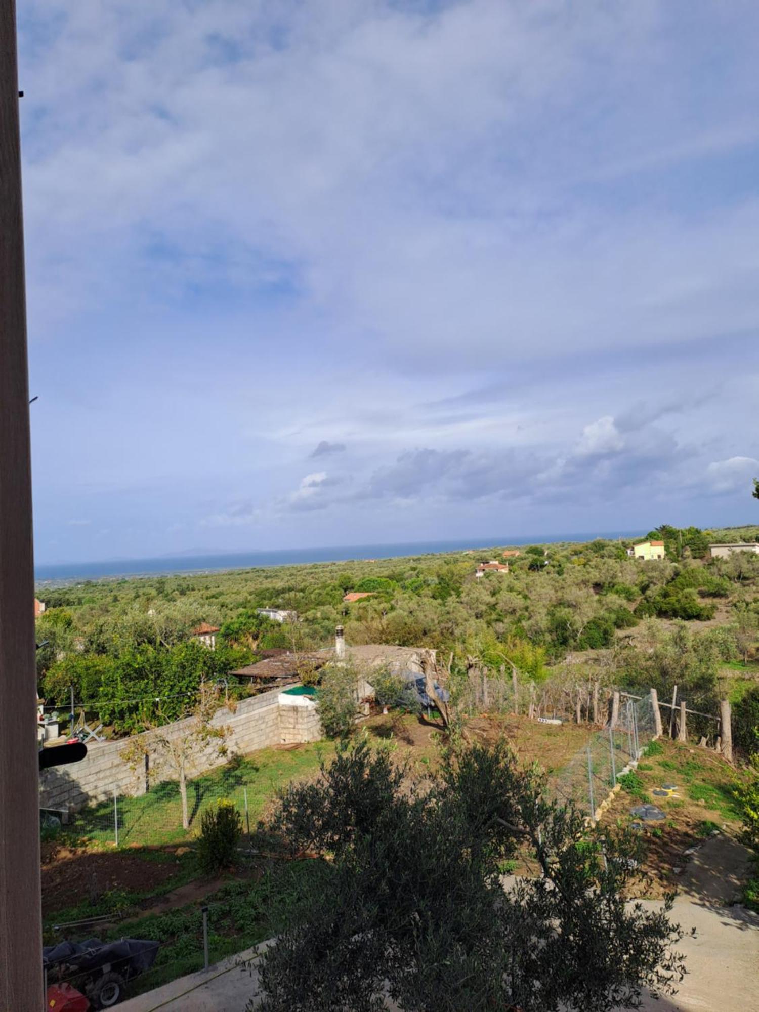 ساساري Villa Andres المظهر الخارجي الصورة