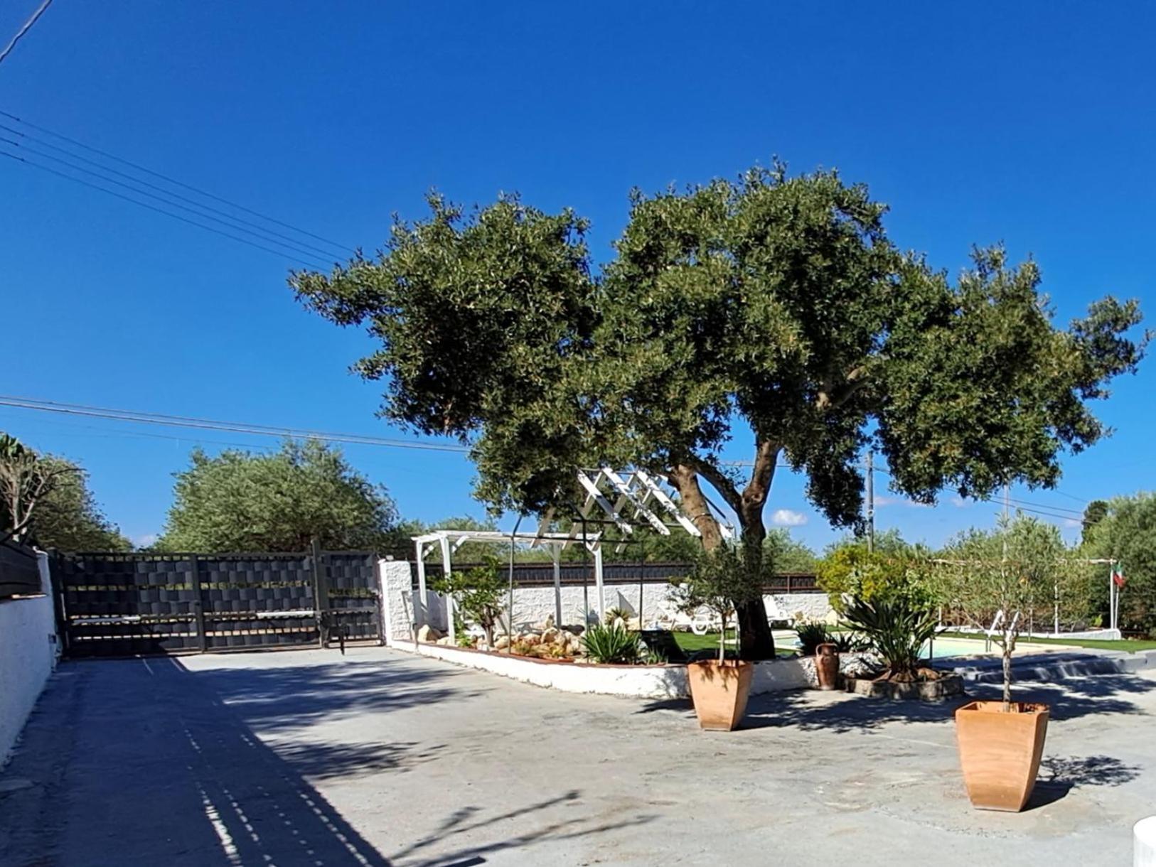 ساساري Villa Andres المظهر الخارجي الصورة
