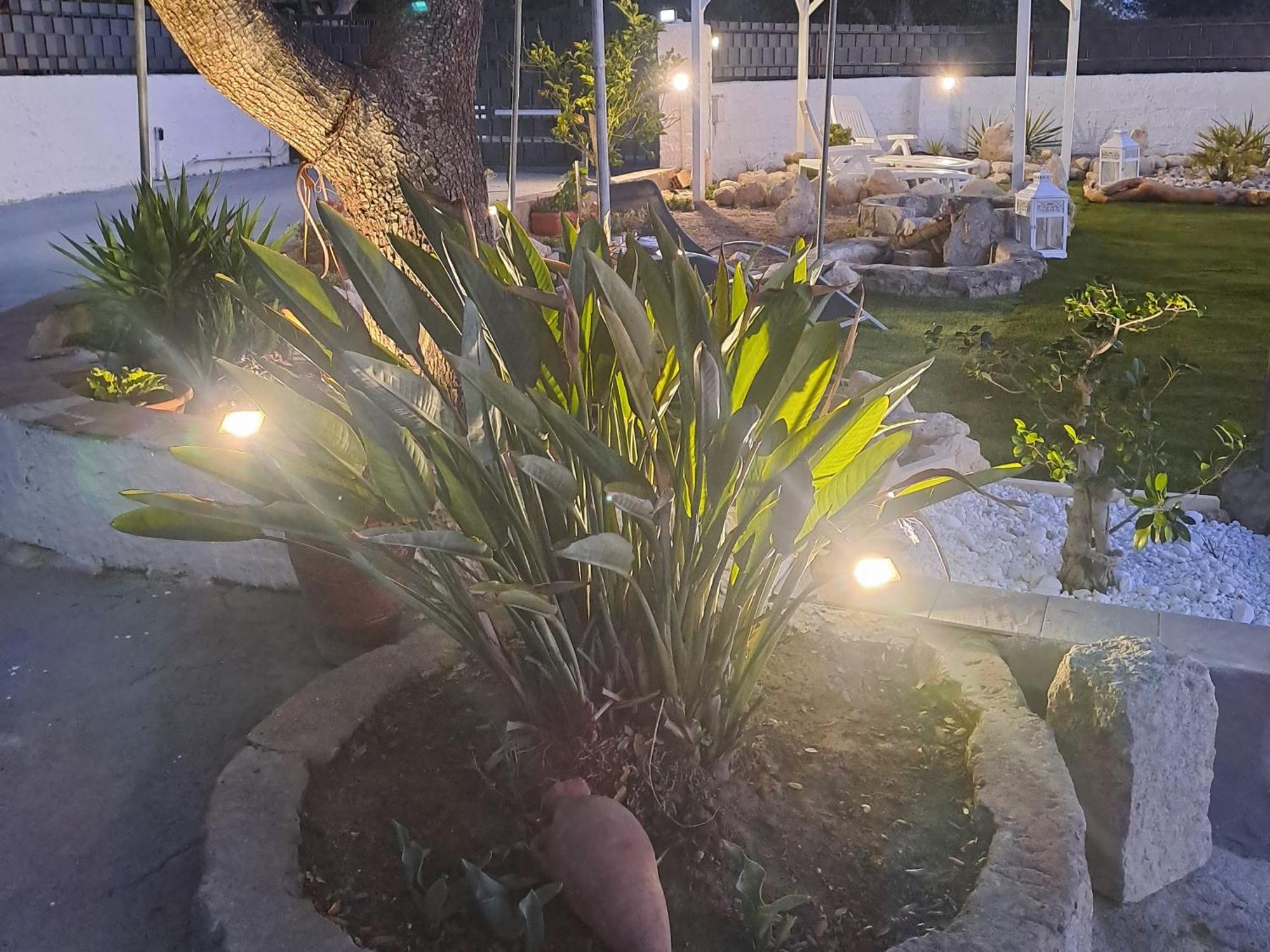 ساساري Villa Andres المظهر الخارجي الصورة