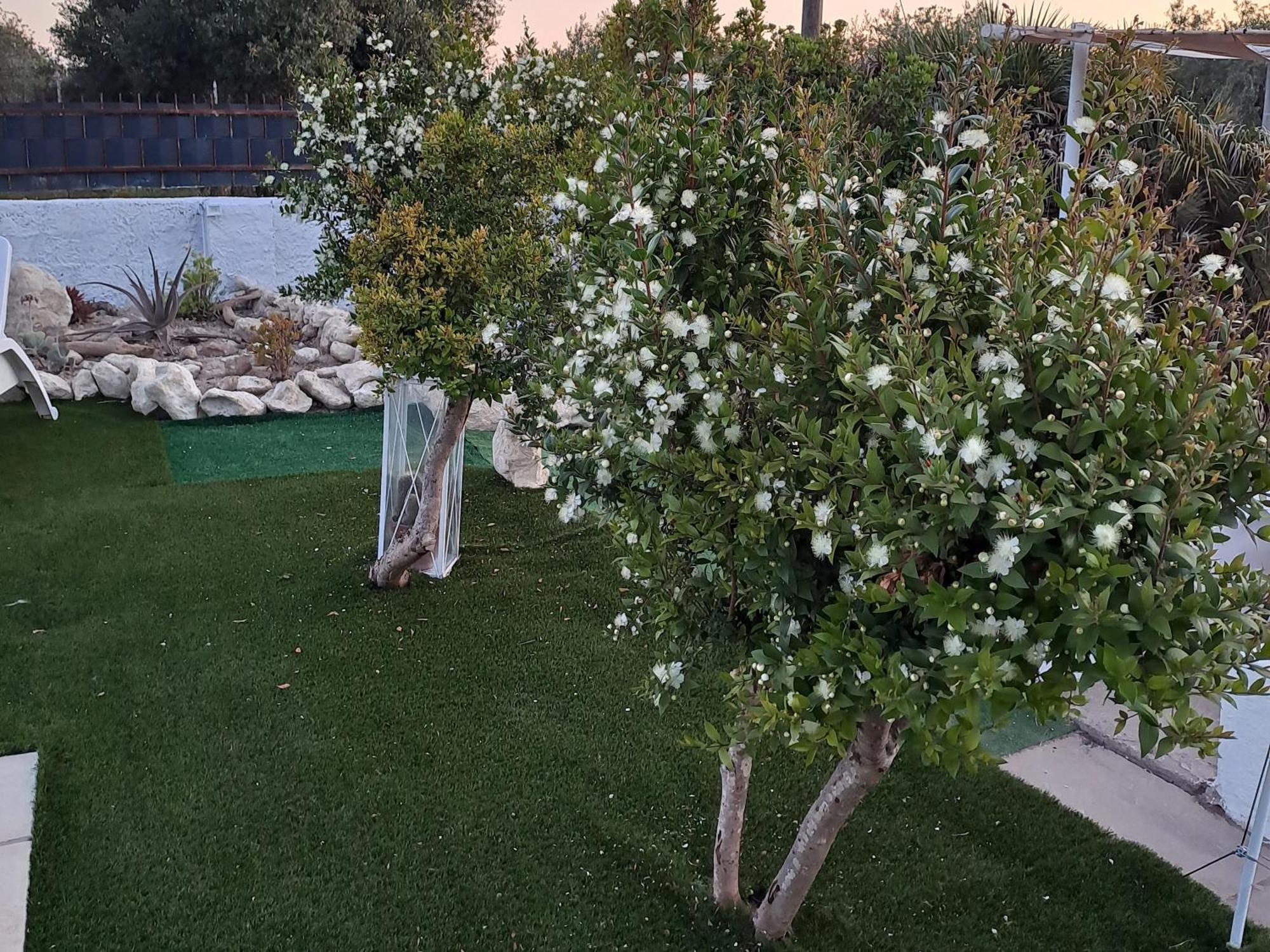 ساساري Villa Andres المظهر الخارجي الصورة